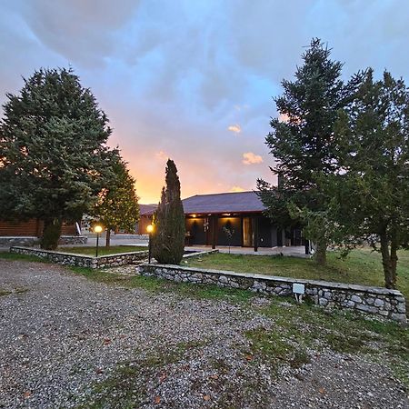 Orino Livadi Mount Villa IV Arachova Luaran gambar