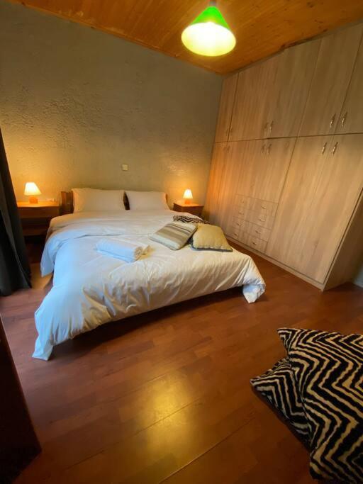 Orino Livadi Mount Villa IV Arachova Luaran gambar